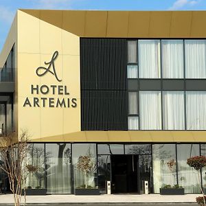 Hotel Artemis
